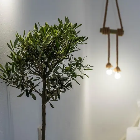伊亚紫水晶豪华套房酒店 酒店